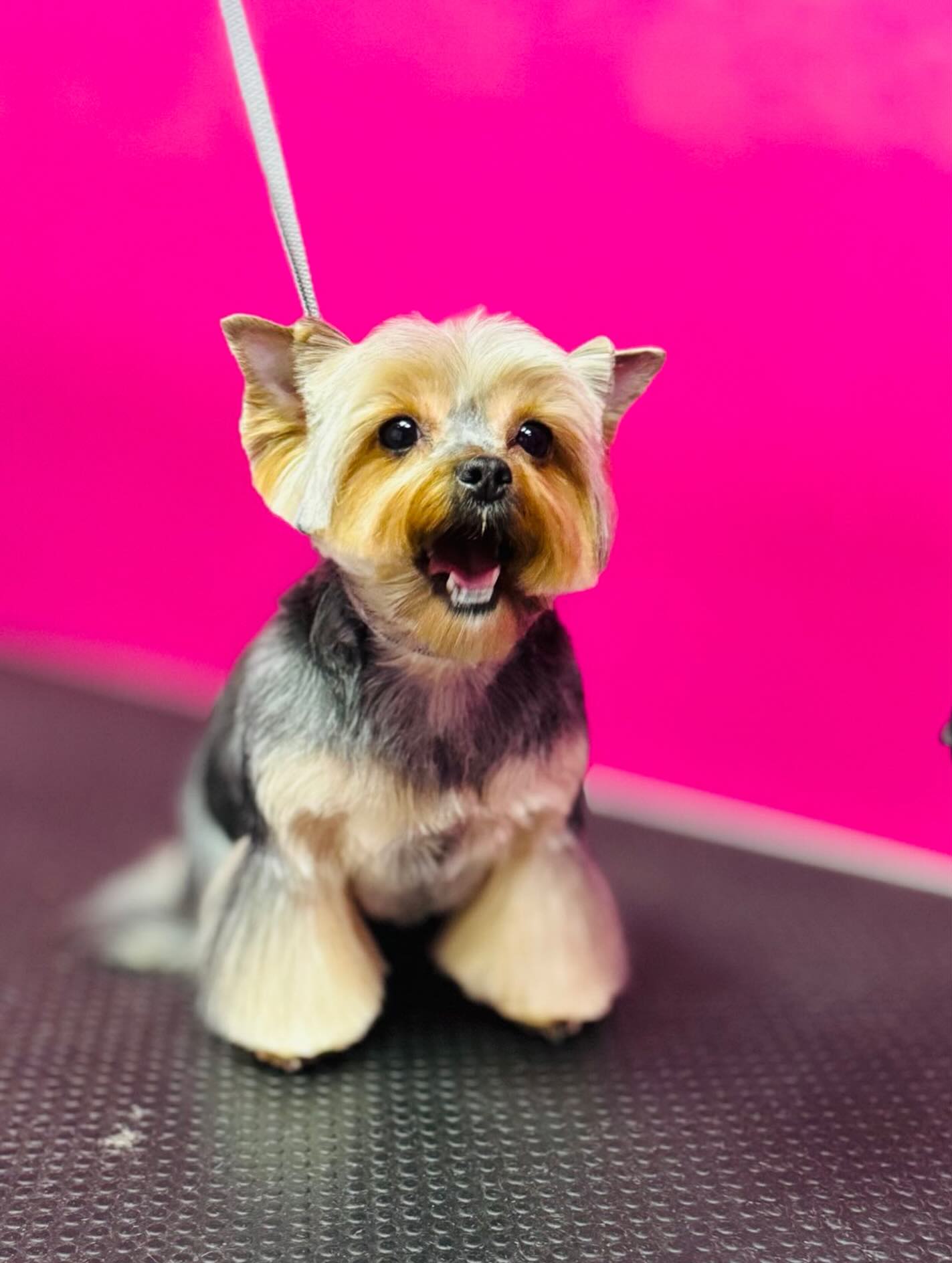 Операционная клиники