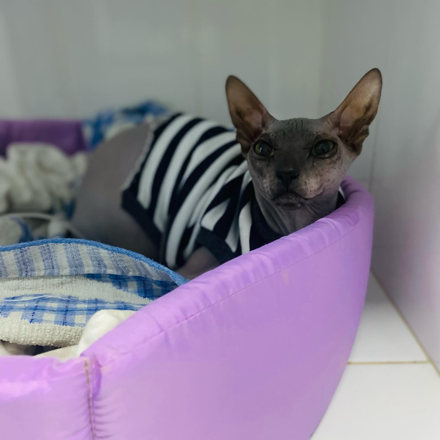 Современное УЗИ оборудование