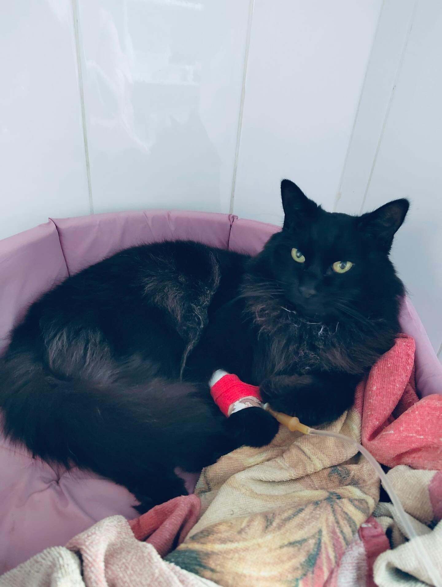 Стоматологический кабинет