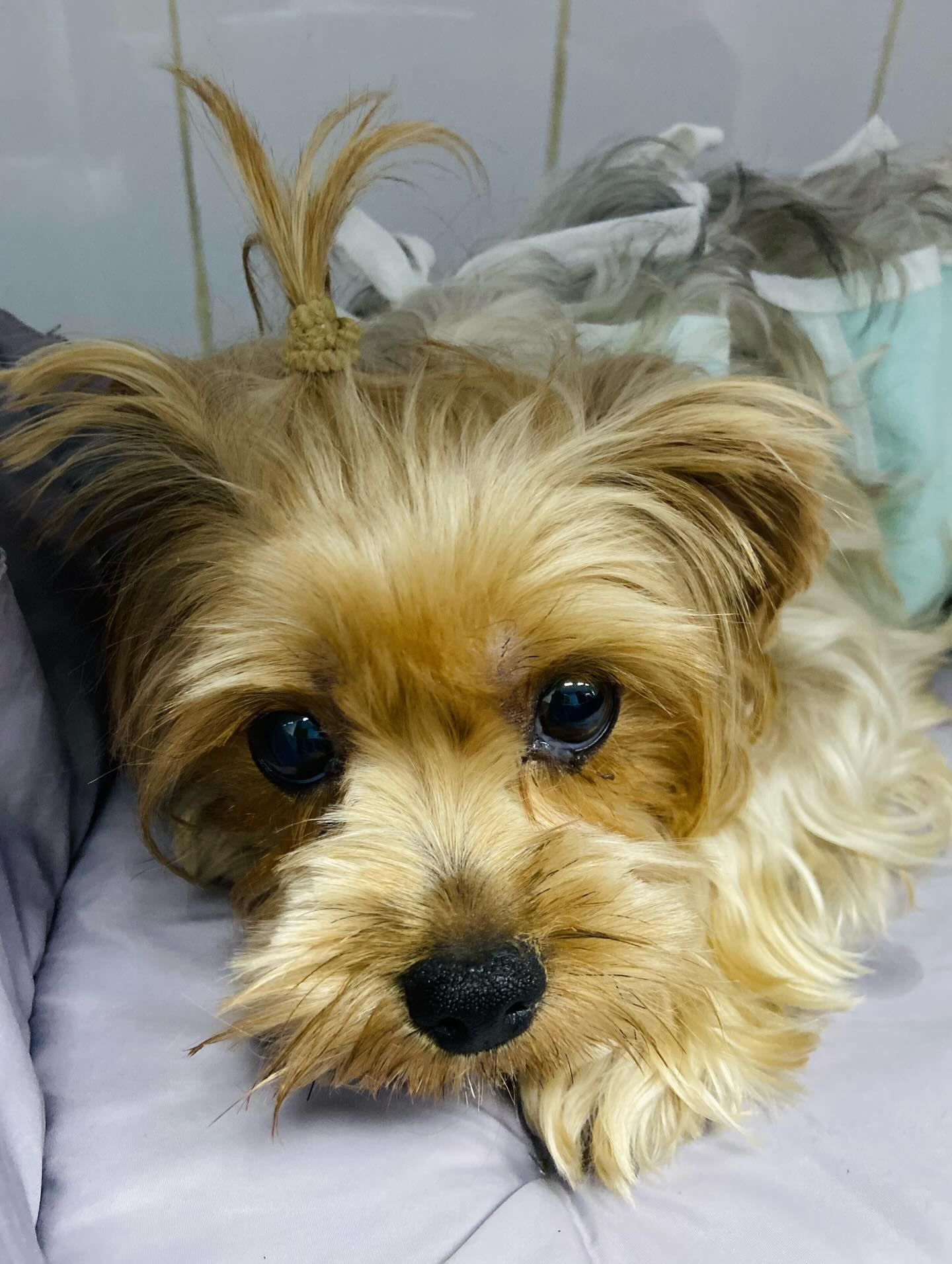 Наш пациент