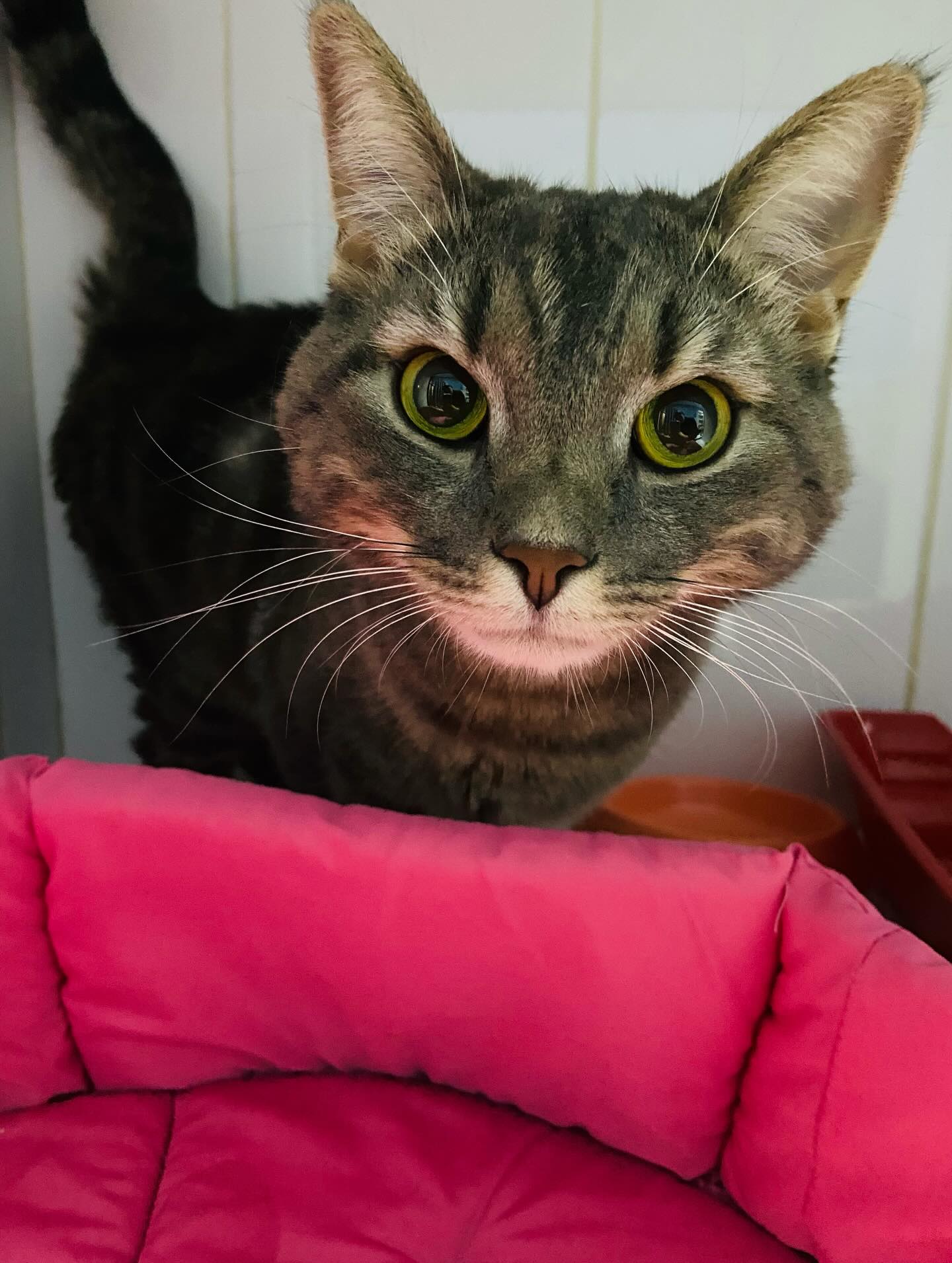 Наш пациент